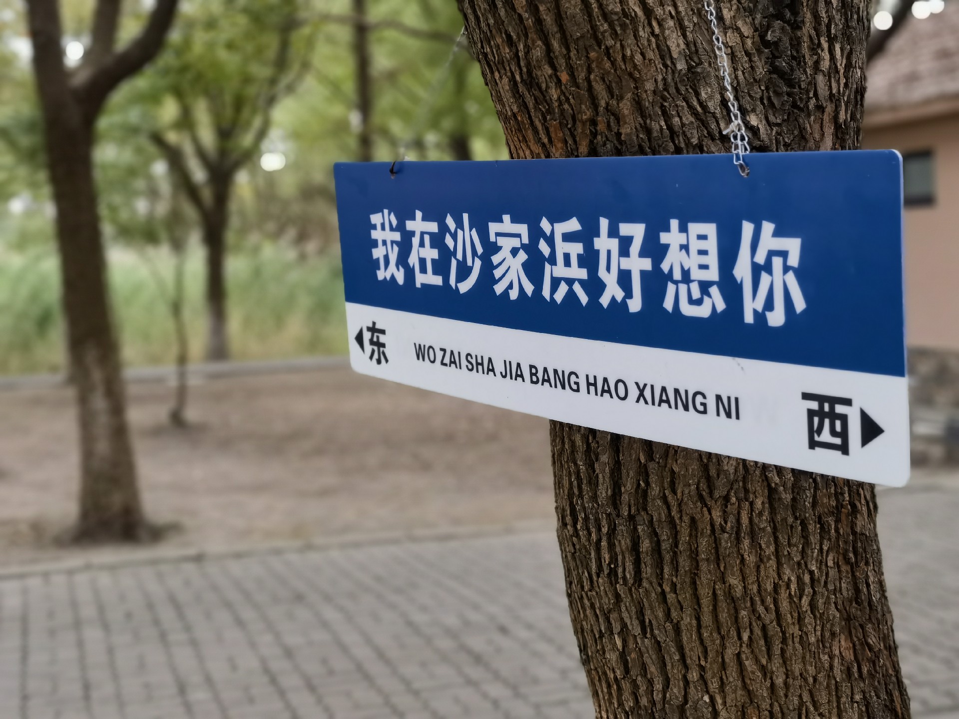 1699933247783572.jpg 微信圖片_20231114102804.jpg